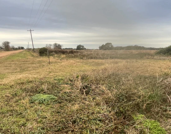 Coastal Land Development b