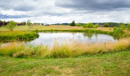 Pond Construction